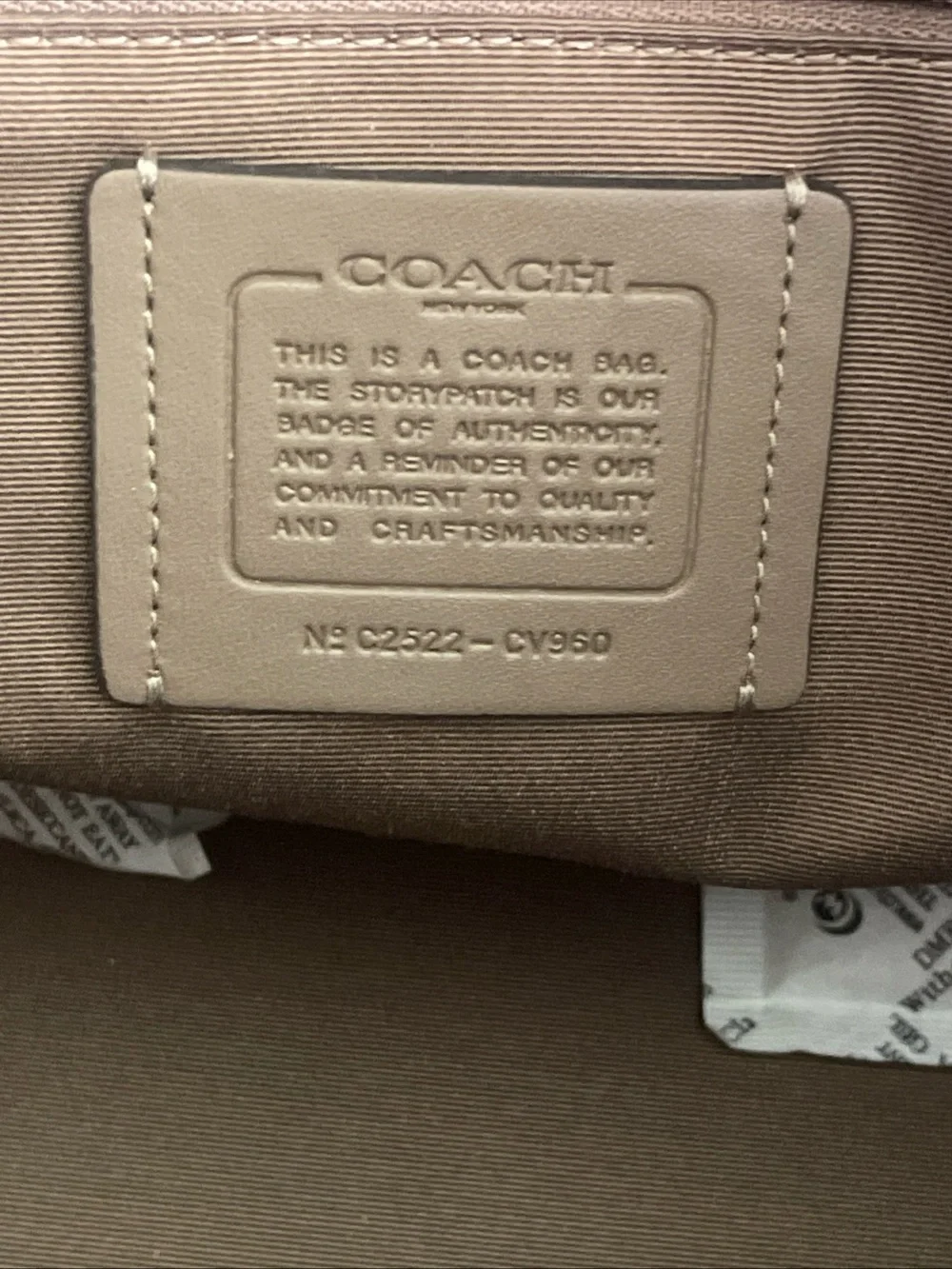 Coach Rowan Large Satchel Bag Crossbody In Leather Dark Stone CV960 NWT